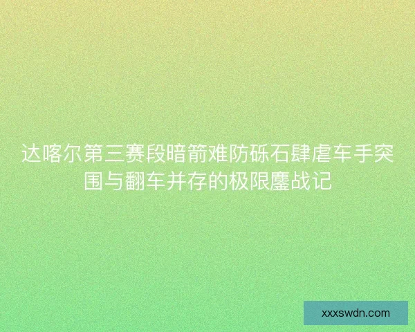 达喀尔第三赛段暗箭难防砾石肆虐车手突围与翻车并存的极限鏖战记