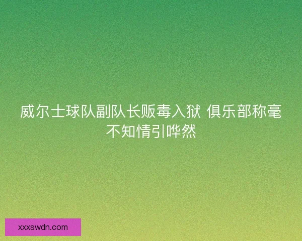 威尔士球队副队长贩毒入狱 俱乐部称毫不知情引哗然