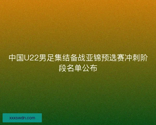 中国U22男足集结备战亚锦预选赛冲刺阶段名单公布